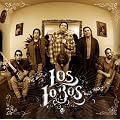 Los Lobos (Best Of)