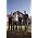 Vignette de Someone Still Loves You Boris Yeltsin