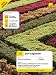 Teach Yourself Portuguese (Teach Yourself) by Manuela Cook ISBN 0340972319