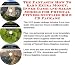 The Fantastic How To Earn Extra Money, Inner Game and Sales Models for Physical Fitness Supplies Biz 3 CD Package