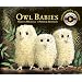 Owl Babies: Candlewick Storybook Animations