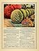 1918 Ad John Lewis Childs Pansies Flowers Shrubs Floral Botanical Gardening - Original Print Ad
