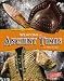 Weapons of Ancient Times (Blazers)