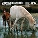 2009 CAL 30X30 CHEVAUX 2009 CAL 30X30 CHEVAUX