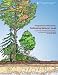 Integrated Landscaping: Following Nature's Lead