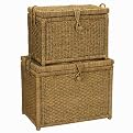 Whitney Design Chests 2-pc. Set- Seagrass