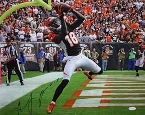 AJ Green Autographed Cincinnati Bengals horizontal 16x20 Photo