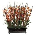 Dendrobium/ Feather in Box - 24" H