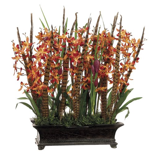 Dendrobium/ Feather in Box – 24″ H