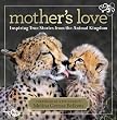 Mother's Love: Inspiring True Stories From the Animal Kingdom