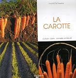 La carotte