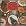 CBS Masterworks: Dinner Classics: The Christmas Album