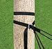 Hammock Bliss Deluxe Cinching Tree Straps