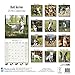 Bull Terrier Calendar - Only Dog Breed Bull Terriers Calendar - 2016 Wall calendars - Dog Calendars - Monthly Wall Calendar by Avonside