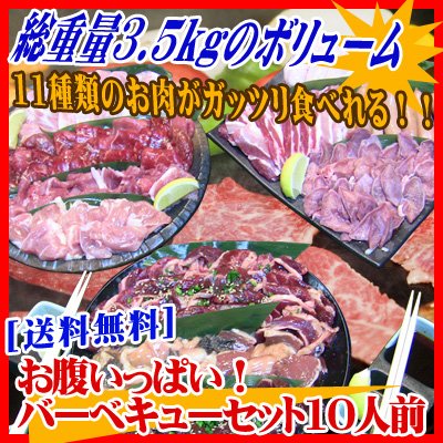 [送料無料]お腹いっぱい！バーベキューセット10人前　お肉11種類　総重量3.5kg