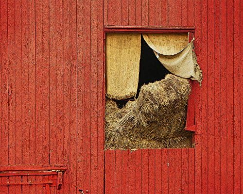 Curtained Window, photograph of a barn window with a burlap feed sack curtain and hay bales.