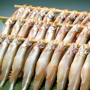 北海道産むかわ町生干ししゃも （メス５L10尾・オス大10尾）(カネダイ大野商店） 【北海道むかわ町】【産地直送】【ししゃも】 【お取り寄せ】【子持ちししゃも】【北海道グルメ】
