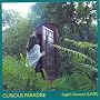 English Elements (live) + bonus DVD