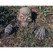 Halloween Partially Buried Zombie Graveyard Prop
