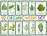 Assortment of 12 Culinary Herb Seeds - Grow Cooking Herbs- Parsley, Thyme, Cilantro, Basil, Dill, Oregano, Sage, More