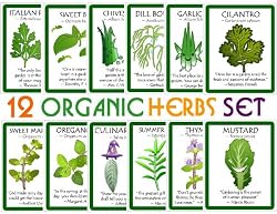 Assortment of 12 Culinary Herb Seeds - Grow Cooking Herbs- Parsley, Thyme, Cilantro, Basil, Dill, Oregano, Sage, More