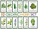 Assortment of 12 Culinary Herb Seeds - Grow Cooking Herbs- Parsley, Thyme, Cilantro, Basil, Dill, Oregano, Sage, More