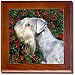 Cesky Terrier Tile - Framed