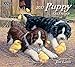 Lang 2017 Puppy Wall Calendar, 13.375 x 24 inches (17991001937)