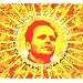 Cosmic Chaos