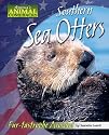 Southern Sea Otters: Fur-Tastrophe Avoided (America's Animal Comebacks)