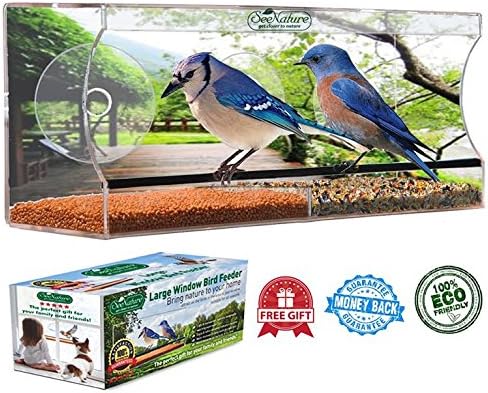 SeeNature Clear Window Bird Feeder with Drain Holes, Suction Cups and eBook, Large
