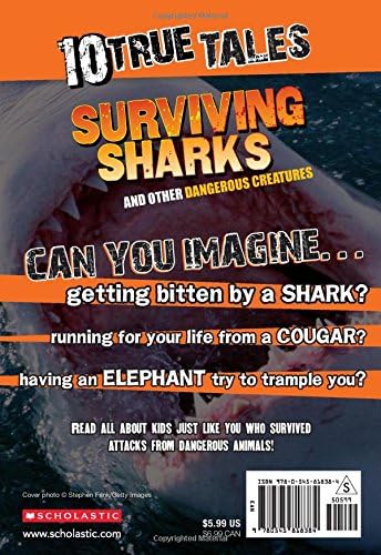 Surviving Sharks (10 True Tales)