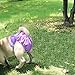 wegreeco Washable Reusable Premium Dog Diapers, Extra Small, Bright Color, for Female Dog, Pack of 3