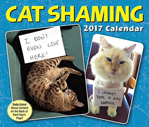 Cat Shaming 2017 Day-to-Day Calendar