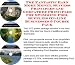 The Incredible How To Earn Extra Money, Marketing and Success Principles for Swimming Pool Supplies On-line Biz Package (3 CDs)