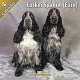 Kalender 2011 English Cocker Spaniel - ECS