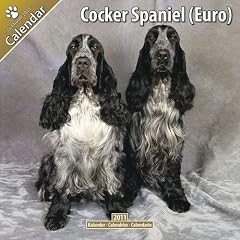 Kalender 2011 English Cocker Spaniel - ECS