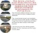 The Quick and Easy Earn More Money, Biz Networking and Sales Models for Web Design Internet Businesses 3 CD Power Pack