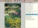 Complete Garden: Award winning Chris Beardshaw Interactive Plant Selector and pruning guide Encyclopaedia 2,700 UK garden plants (PC/Mac)