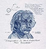 Einstein - Imagination - T-Shirt (Grey)