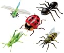 Learning Resources - Inflatable Insects