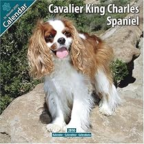 Cavalier King Charles 2010 Wall Calendar #10026-10