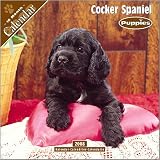 Cocker Spaniel Puppies Avonside Wall - 2008 Calendar