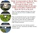 Book The Incredible How To Earn Extra Money, Inner Game and Godfather Principles for Utility Vehicles Biz 3 CD Package