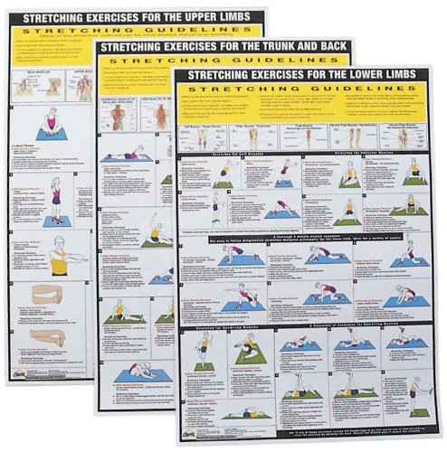 Power Systems Stretching Charts Set Reviews