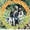 Israel Vibration: Essential I-Vibe