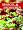 www.spargelsalat.com - Spargel & Erdbeeren
