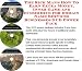 The Rich Man's How To Earn Extra Money, Inner Game and eCommerce for Domain Name Services Businesses 3 CD Power Pack