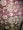 Night Shadz Paisley Floral Leaf India Pashmina Shawl, Wrap Throw Reversible Image #5