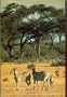 Last Wilderness: Journey Across the Great Kalahari Desert